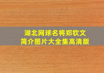 湖北网球名将郑钦文简介图片大全集高清版