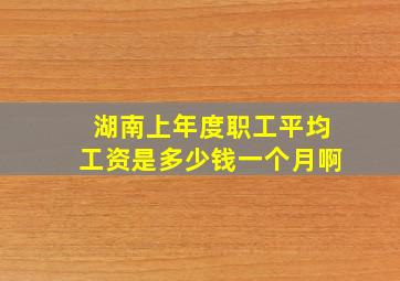 湖南上年度职工平均工资是多少钱一个月啊