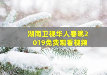 湖南卫视华人春晚2019免费观看视频