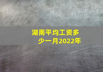 湖南平均工资多少一月2022年