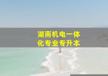 湖南机电一体化专业专升本