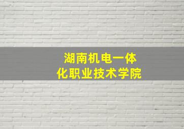 湖南机电一体化职业技术学院