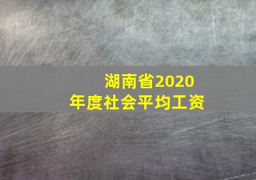 湖南省2020年度社会平均工资