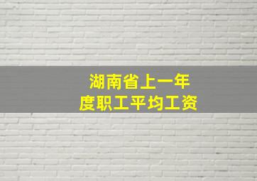 湖南省上一年度职工平均工资