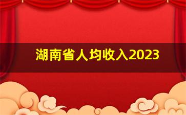 湖南省人均收入2023