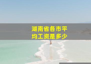 湖南省各市平均工资是多少