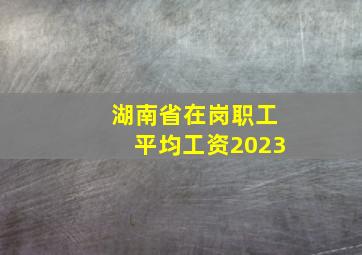 湖南省在岗职工平均工资2023