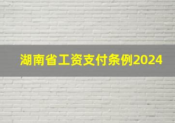 湖南省工资支付条例2024