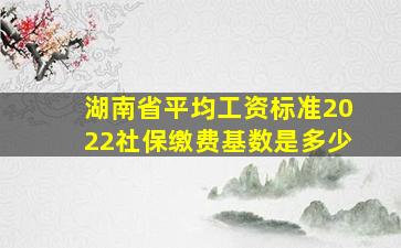 湖南省平均工资标准2022社保缴费基数是多少