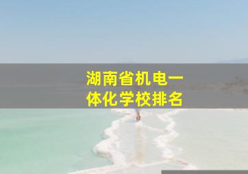 湖南省机电一体化学校排名