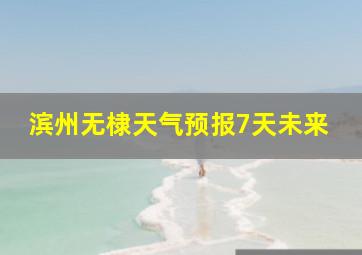 滨州无棣天气预报7天未来