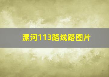 漯河113路线路图片