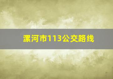 漯河市113公交路线