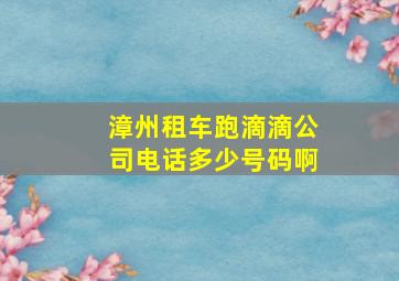 漳州租车跑滴滴公司电话多少号码啊