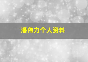 潘伟力个人资料