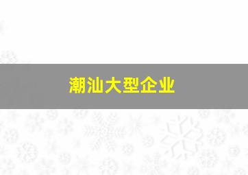 潮汕大型企业