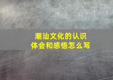 潮汕文化的认识体会和感悟怎么写