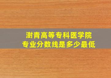 澍青高等专科医学院专业分数线是多少最低