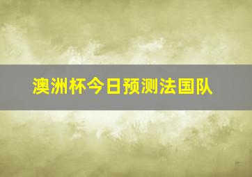 澳洲杯今日预测法国队