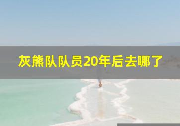 灰熊队队员20年后去哪了