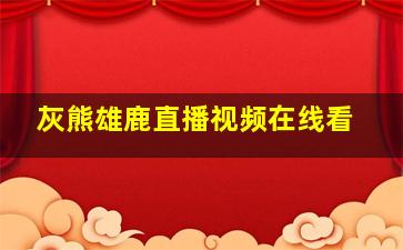 灰熊雄鹿直播视频在线看