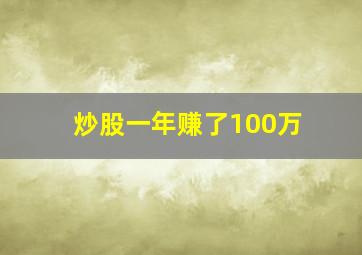 炒股一年赚了100万