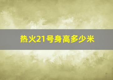 热火21号身高多少米