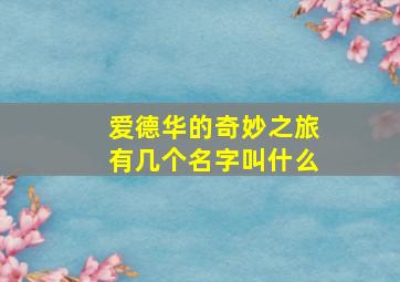 爱德华的奇妙之旅有几个名字叫什么