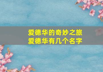 爱德华的奇妙之旅爱德华有几个名字