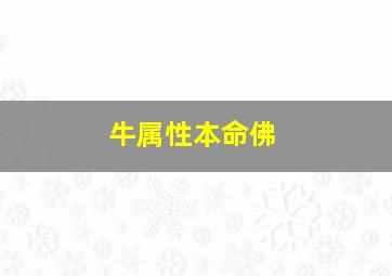 牛属性本命佛