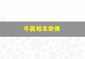 牛属相本命佛