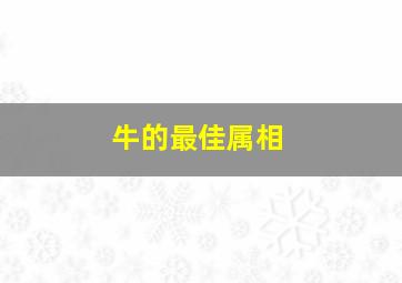 牛的最佳属相