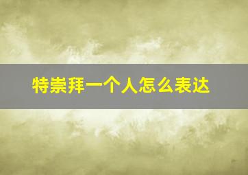 特崇拜一个人怎么表达