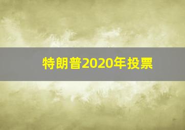 特朗普2020年投票