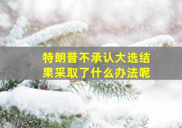 特朗普不承认大选结果采取了什么办法呢