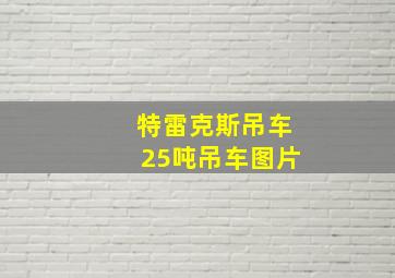 特雷克斯吊车25吨吊车图片