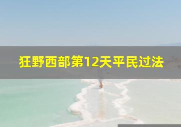 狂野西部第12天平民过法