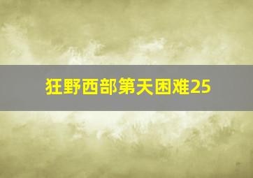 狂野西部第天困难25