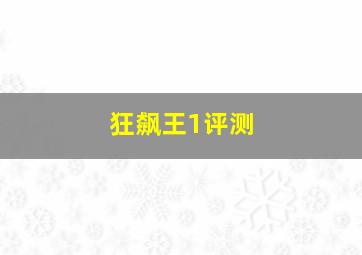 狂飙王1评测