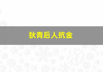 狄青后人抗金