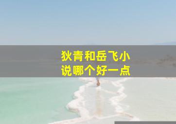 狄青和岳飞小说哪个好一点