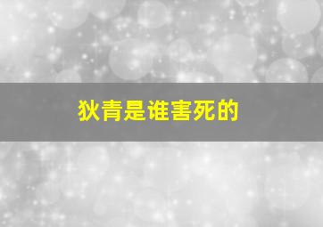 狄青是谁害死的