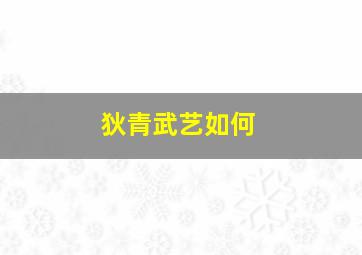 狄青武艺如何