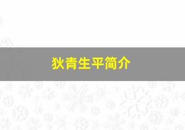 狄青生平简介