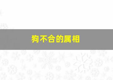 狗不合的属相