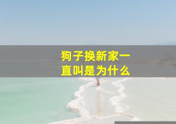 狗子换新家一直叫是为什么