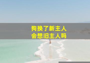 狗换了新主人会想旧主人吗