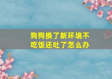 狗狗换了新环境不吃饭还吐了怎么办