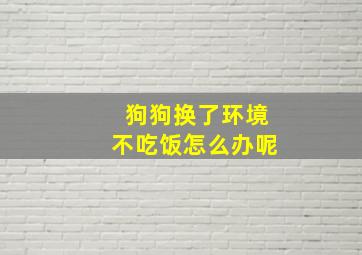 狗狗换了环境不吃饭怎么办呢