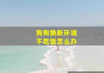 狗狗换新环境不吃饭怎么办